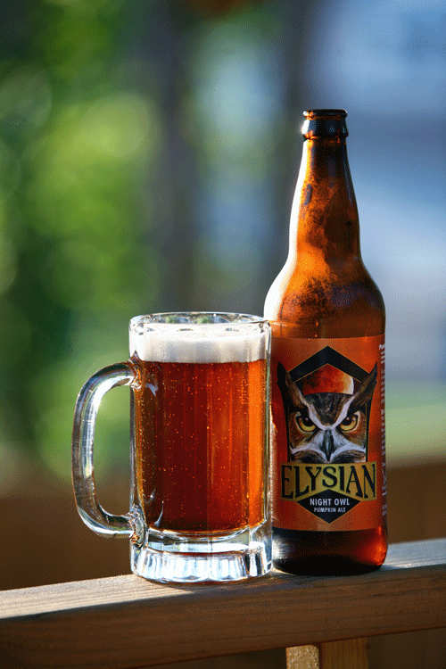 elysian-night-owl-pumpkin-a